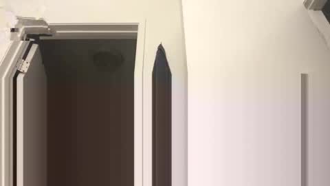 hustlemacc online show from 01.12.26