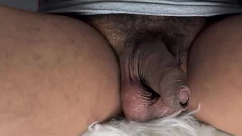 hvm20 online show from 01.15.26