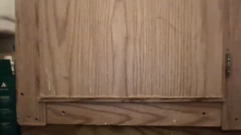 Snapshot of hybrid_lover419 chatting on 02.13.26 Hybrid Lover419 online show from 02.13.26