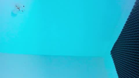 NAHO online show from 11.18.25