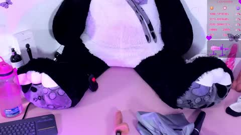 Steph - Online Again   - 1 DECEMBER online show from 01.23.25