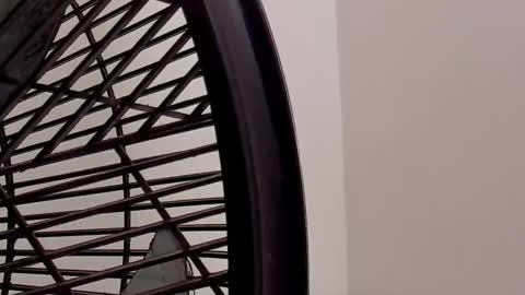 Snapshot of ian_castillo_ chatting on 02.11.26 IAN CASTILLO online show from 02.11.26