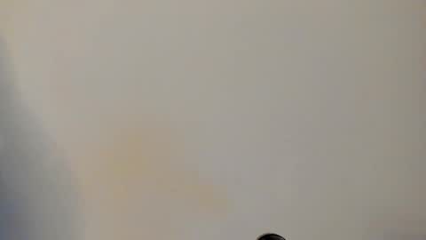 Snapshot of ian_castillo_ chatting on 02.24.26 IAN CASTILLO online show from 02.24.26