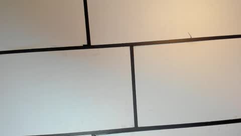 Ian Lark online show from 05.16.26