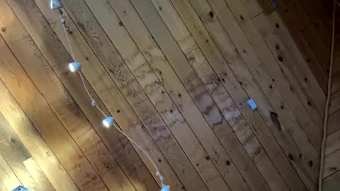 Snapshot of icanmakeyousquirt69 chatting on 03.17.26 icanmakeyousquirt69 online show from 03.17.26