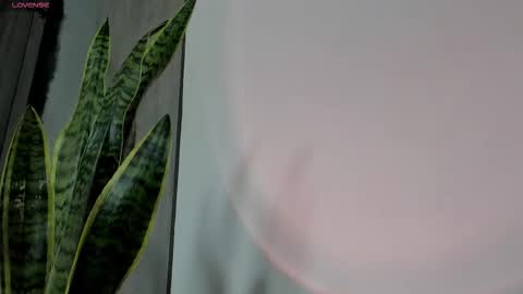 Crystall online show from 10.12.25