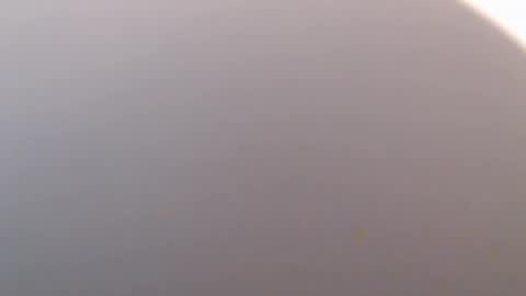 icky_thumps online show from 02.02.26