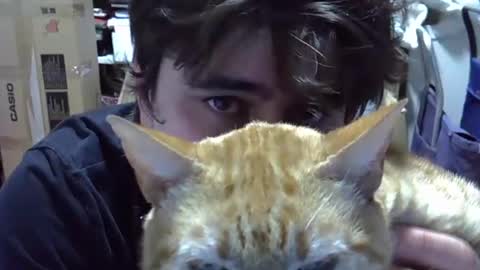 idkwhattowatch online show from 12.24.24