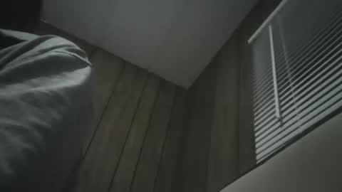 Snapshot of igasu chatting on 11.27.25 igasu online show from 11.27.25