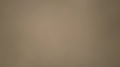 Morvoys online show from 11.06.25