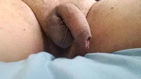 ikbenzo online show from 12.08.24