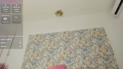 illegal_lorry online show from 01.10.26