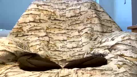 thanks for visiting online show from 12.16.25