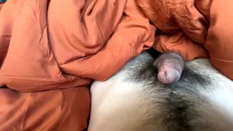 Snapshot of imakeucumonmyface chatting on 02.25.26 imakeucumonmyface online show from 02.25.26