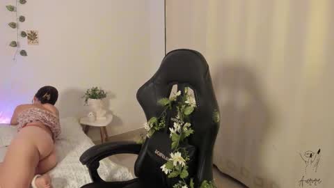 Snapshot of imsrbatman chatting on 11.17.25 Aurora online show from 11.17.25