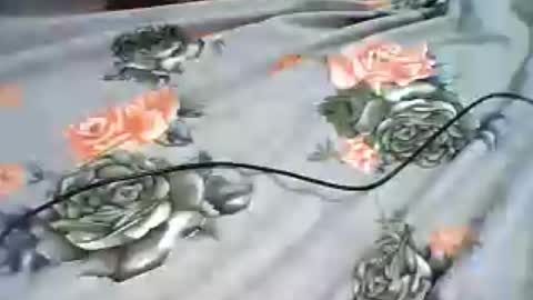 Snapshot of inejhtin chatting on 06.24.26 inejhtin online show from 06.24.26