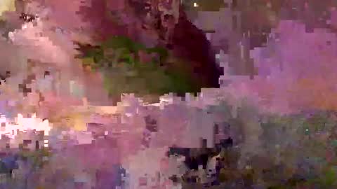 Snapshot of inhertube15 chatting on 12.28.24 inhertube15 online show from 12.28.24