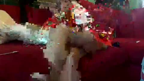 INMIRREY online show from 05.08.26