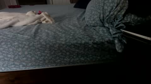 Snapshot of insatiablecpl333 chatting on 01.23.25 InsatiableCpl333 online show from 01.23.25