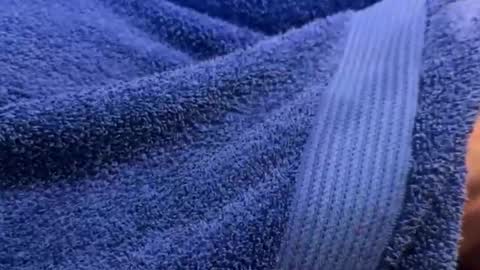 intressiert online show from 12.30.24