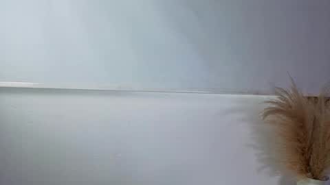 invincible200 online show from 10.01.25