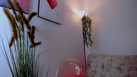    online show from 06.11.26