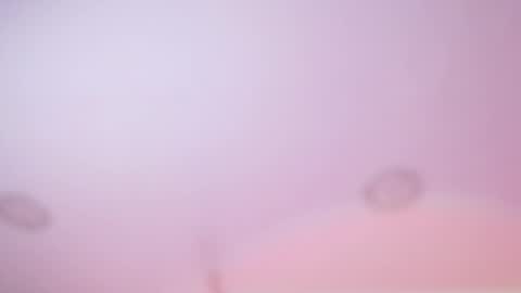 Iirs online show from 02.18.26