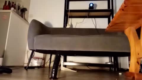 Snapshot of iron_cock40 chatting on 02.13.26 iron_cock40 online show from 02.13.26