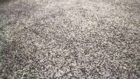 Snapshot of ironerectionn chatting on 01.11.26 ironerectionn online show from 01.11.26