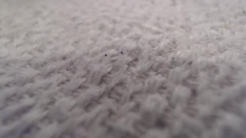 Snapshot of ironman383838 chatting on 10.20.25 ironman383838 online show from 10.20.25