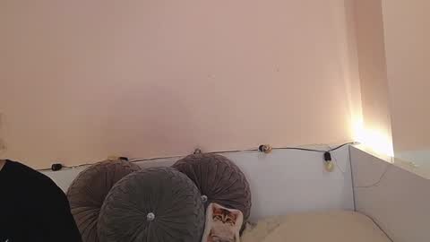Snapshot of isabella__dark chatting on 12.21.24    online show from 12.21.24