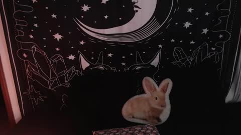 Snapshot of isabella__dark chatting on 01.23.25    online show from 01.23.25