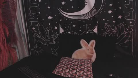 Snapshot of isabella__dark chatting on 01.29.25    online show from 01.29.25