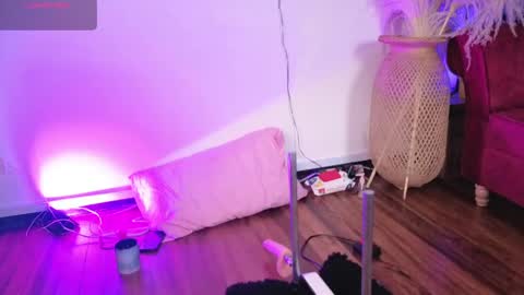   online show from 04.21.26