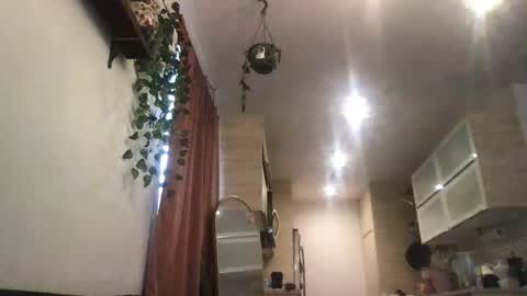 Snapshot of isabellaelizabeth chatting on 01.31.26 isabellaelizabeth online show from 01.31.26