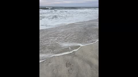 Jim online show from 03.02.25