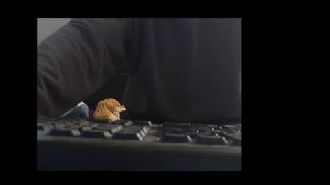 Snapshot of ital25usa chatting on 01.10.26 ital25usa online show from 01.10.26