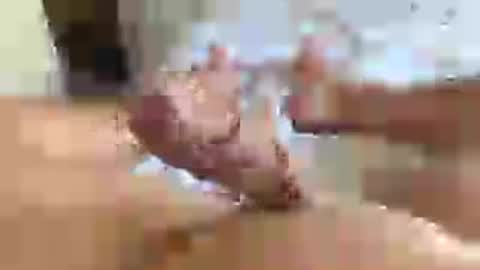 italianxsalami online show from 07.16.26