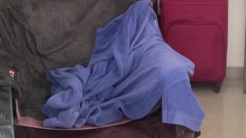 Raje online show from 10.05.25