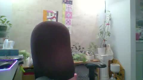 Snapshot of ivyjane3522 chatting on 04.25.26 ivyjane3522 online show from 04.25.26