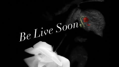 Ivy Rosie online show from 04.06.26