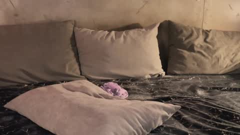 izi online show from 02.19.25