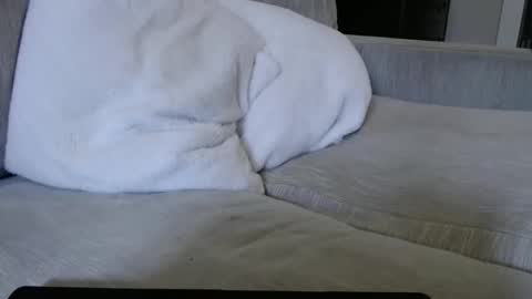 Snapshot of j335129 chatting on 12.01.25 James online show from 12.01.25