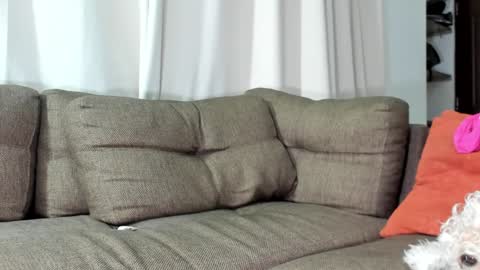 Calix  Independient model Insta and twt Calixsnake online show from 01.23.25