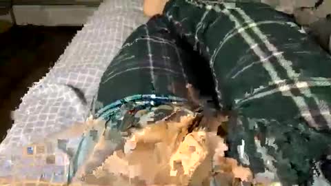 Jaaltar online show from 12.03.25