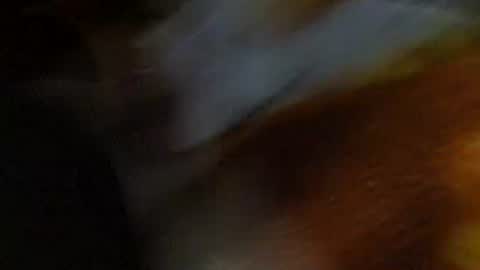 speedy online show from 02.01.26