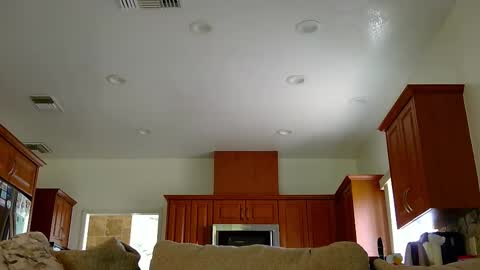 Snapshot of jacktome369 chatting on 11.11.25 jacktome369 online show from 11.11.25