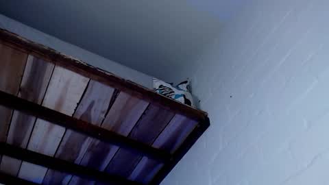 Snapshot of jacob_zane1 chatting on 03.12.25 Michael Caicedo online show from 03.12.25