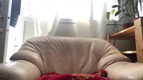 Snapshot of jacobmotes chatting on 02.14.26 Jacob online show from 02.14.26