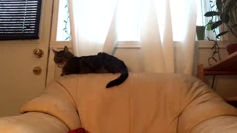 Snapshot of jacobmotes chatting on 02.17.26 Jacob online show from 02.17.26